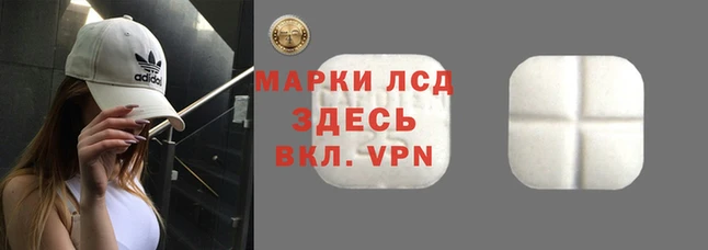 МДПВ Алзамай