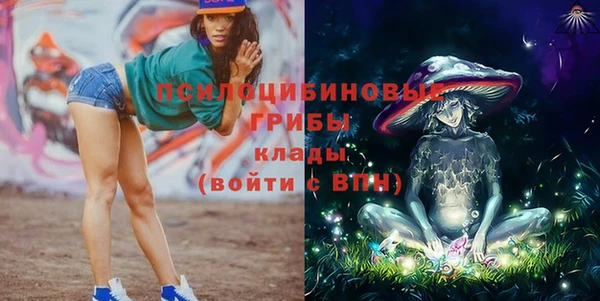 дурь Алексеевка