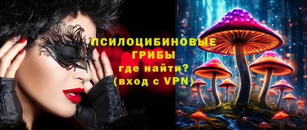 МДПВ Алзамай