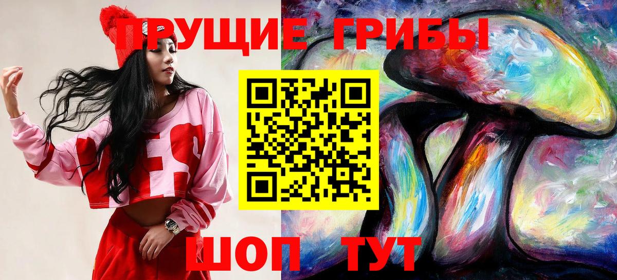 Галлюциногенные грибы GOLDEN TEACHER Новомосковск