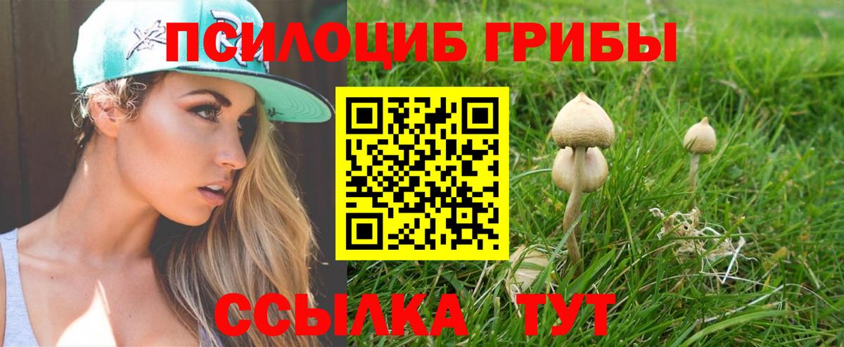 Псилоцибиновые грибы Magic Shrooms  Вход с VPN  Новомосковск 